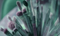 SALON DES ARTISTES LOCAUX